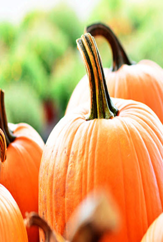 هذا ما تقدمه فاكهة اليقطين من منفعة صحية