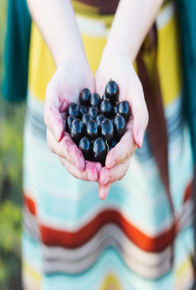 الكشمش: حليفك الأقوى ضد السرطان