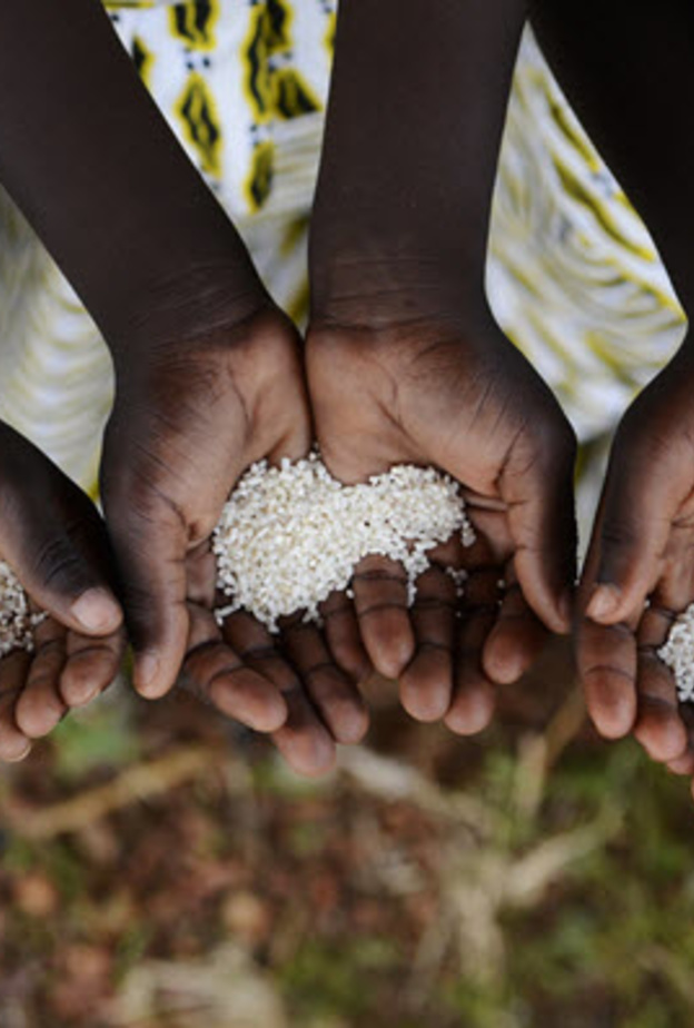 سوء التغذية يصيب 795 مليون شخص حول العالم