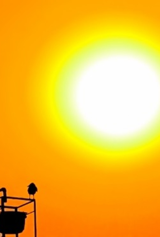 الأرصاد السعودية حذرت من درجات الحرارة المرتفعة