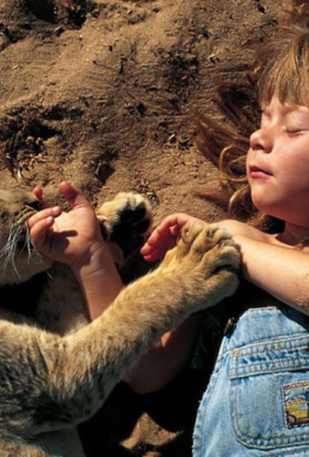 بالفيديو: طفل ينجو من فكي أسد
