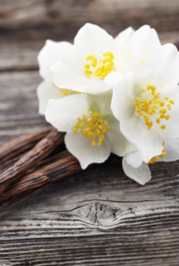 فوائد الفانيلا الصحية لا حصر لها