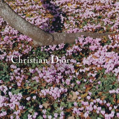 بث مباشر لعرض أزياء ديور ربيع صيف 2026