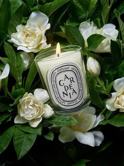 شمعة Gardenia الكلاسيكية، من علامة Diptyque	
