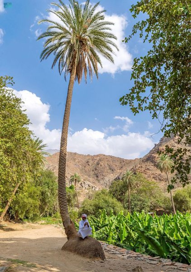 قرية ذي عين التراثية تطلق تجربة سياحية جديدة تعيد زوارها للزمن الجميل