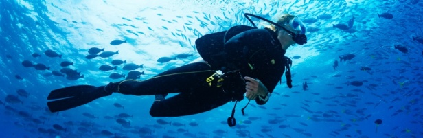 تجربة ممتعة لعشاق رياضة الغوص - المصدر موسم جدة