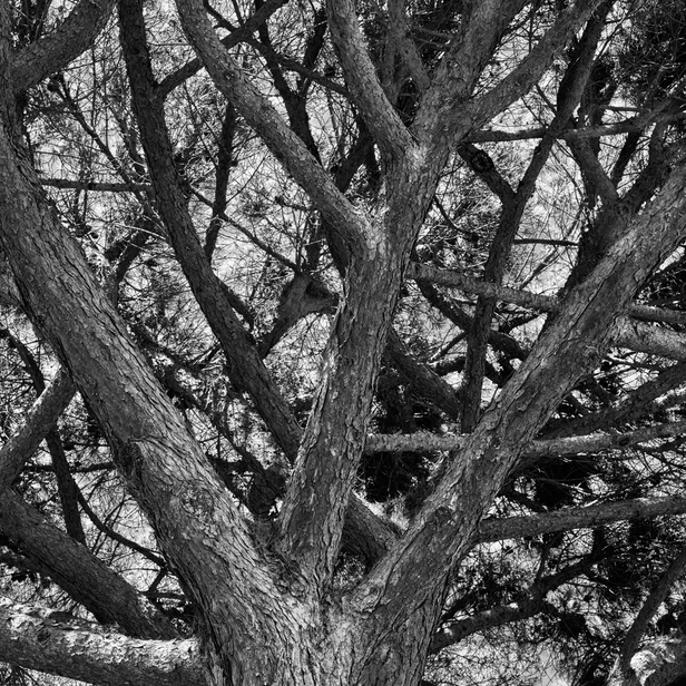 La collection de Saint-Tropez من دار CELINE لربيع وصيف 2023