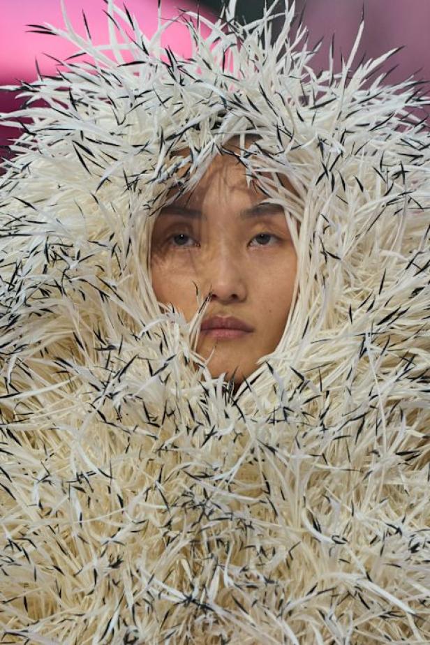 مجموعة "ماثيو بلازي" الأولى للكوتور مع شانيل