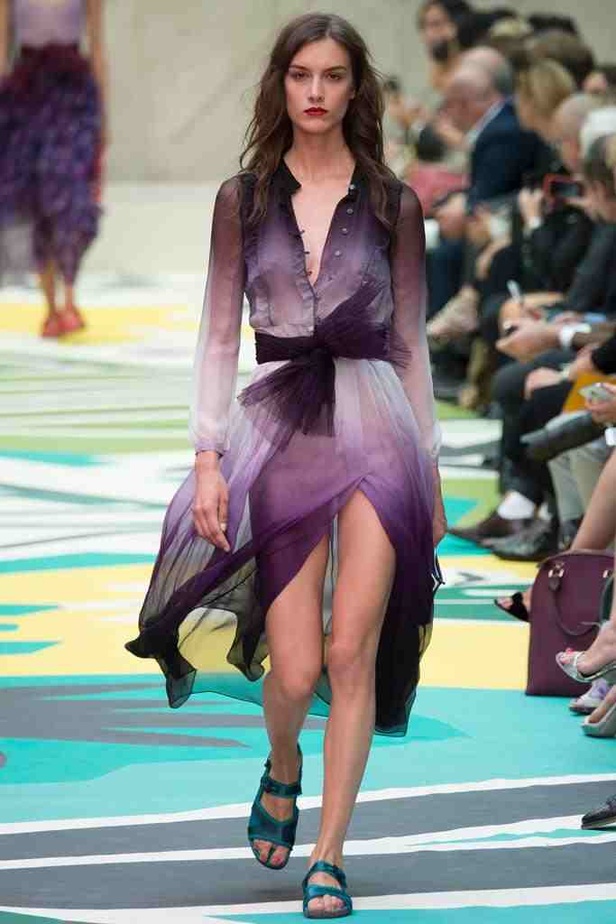 الطيور والنحل أعلى زهور BURBERRY PRORSUM