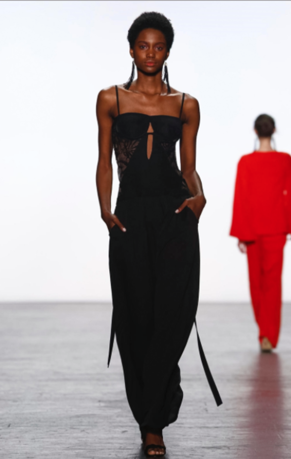 مجموعة Tadashi Shoji لربيع وصيف ٢٠١٧ !