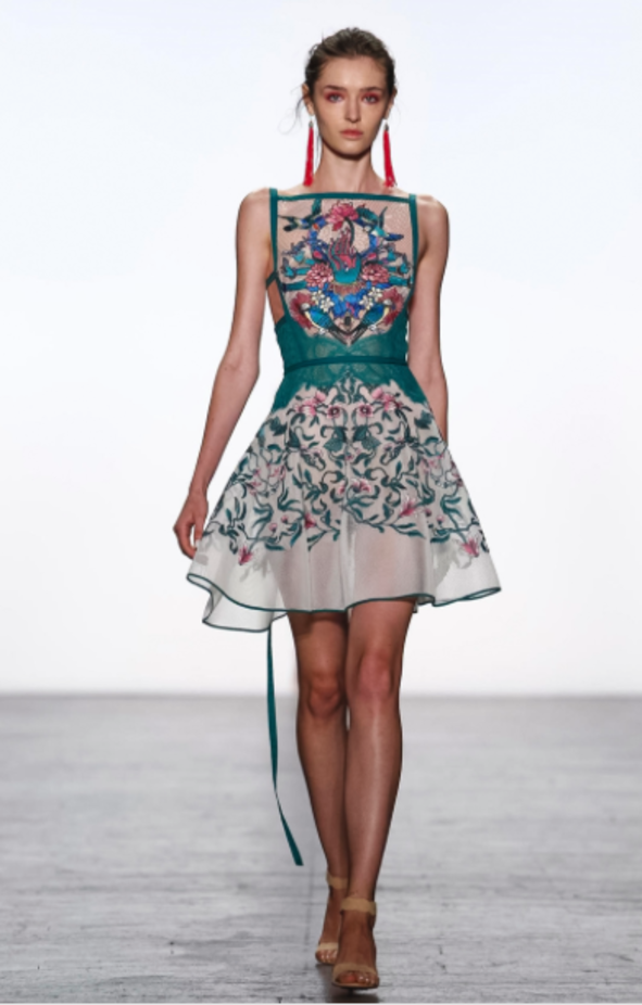 مجموعة Tadashi Shoji لربيع وصيف ٢٠١٧ !