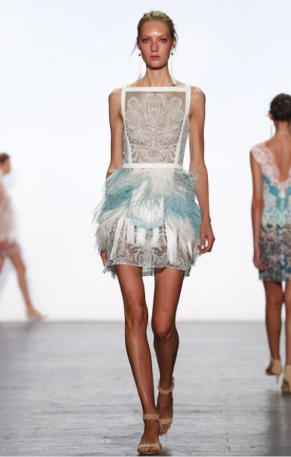 مجموعة Tadashi Shoji لربيع وصيف ٢٠١٧ !