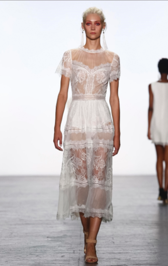 مجموعة Tadashi Shoji لربيع وصيف ٢٠١٧ !