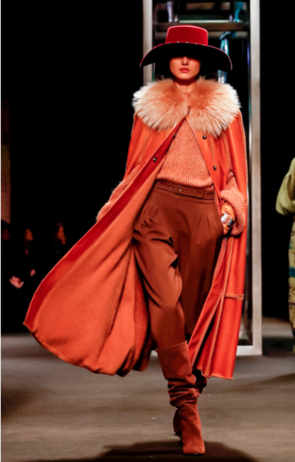 مجموعة Alberta Ferretti لخريف وشتاء ٢٠١٨ !