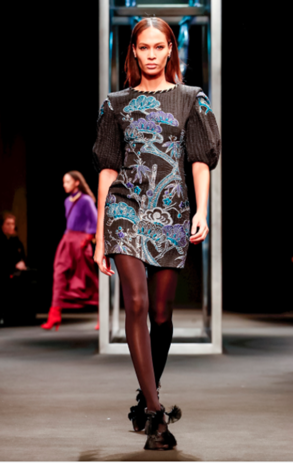 مجموعة Alberta Ferretti لخريف وشتاء ٢٠١٨ !