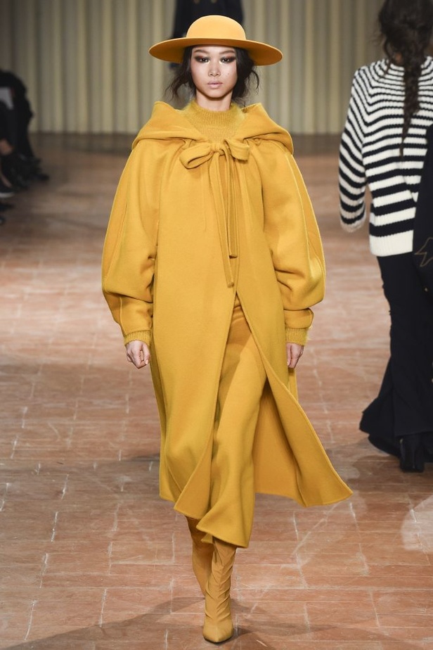  مجموعة Alberta Ferretti لخريف وشتاء 2017 !