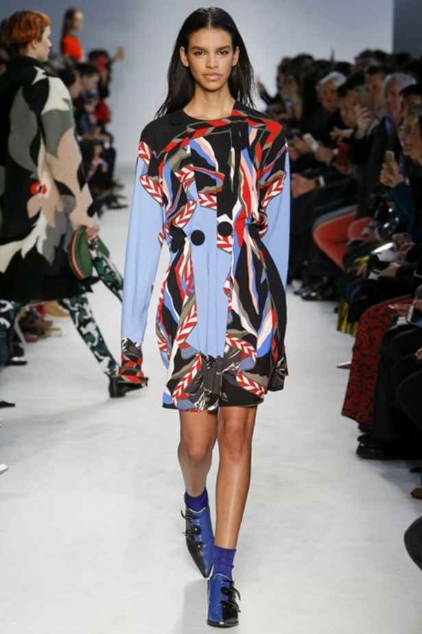 مجموعة إميليو بوتشي لخريف وشتاء 2016-2017