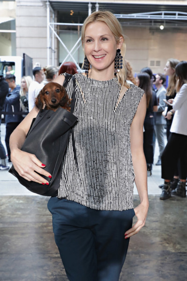 مجموعة زاديغ اند فولتير لموسم ربيع وصيف 2018