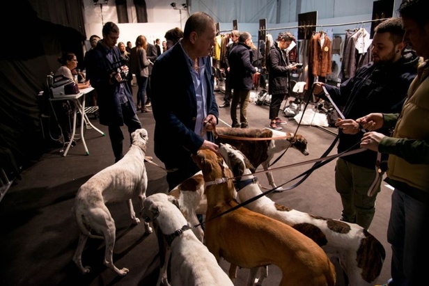 عرض أزياء Trussardi لخريف وشتاء ٢٠١٧!