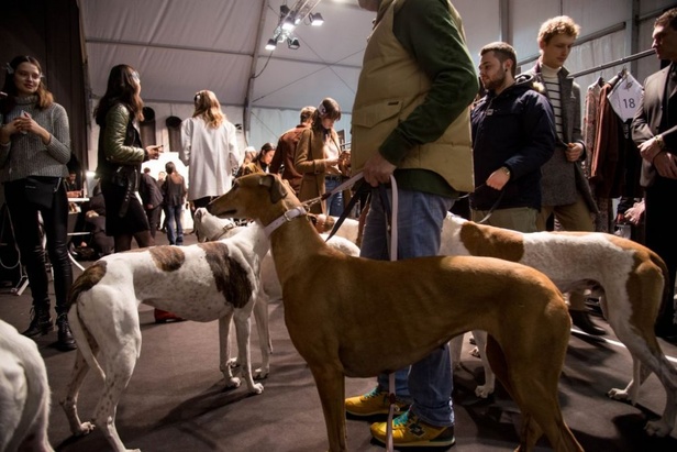 عرض أزياء Trussardi لخريف وشتاء ٢٠١٧!