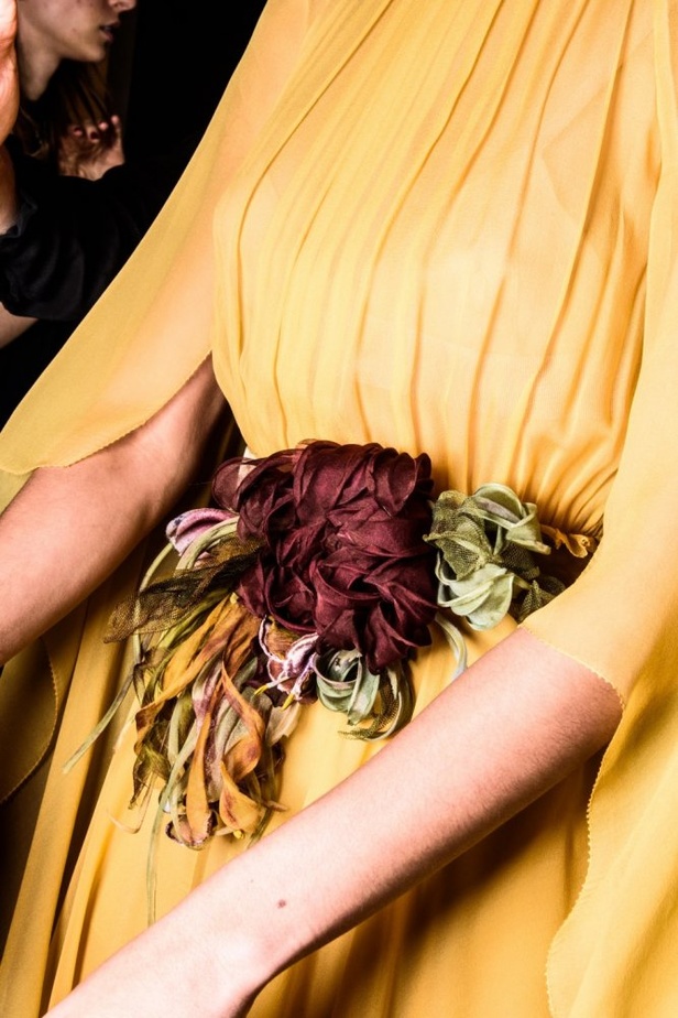  مجموعة Alberta Ferretti لخريف وشتاء 2017 !