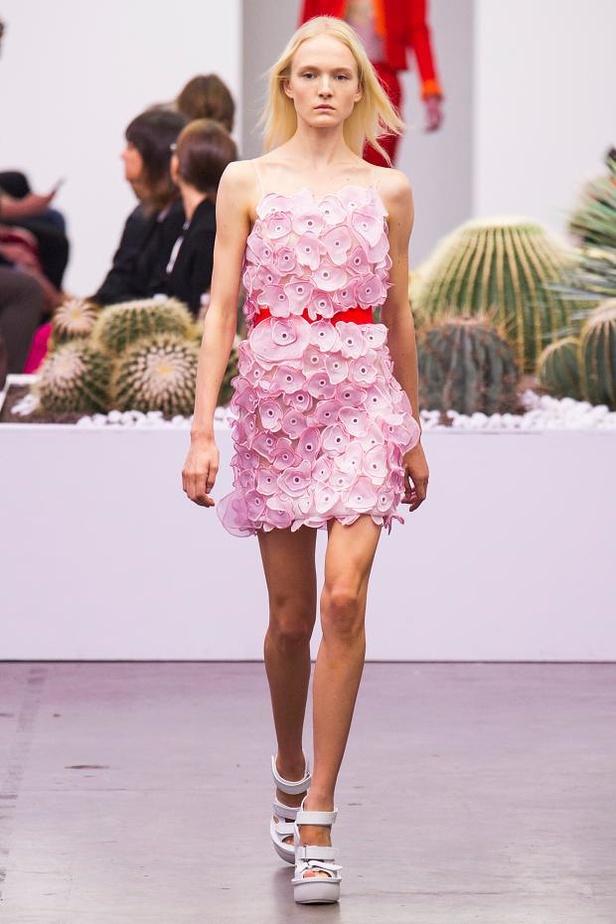 Iceberg .. دفء الألوان يذيب الجليد