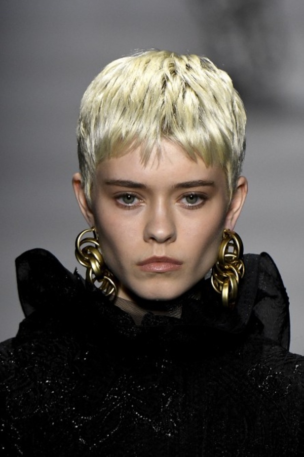 مجموعة Alberta Ferretti الفاخرة خلال اسبوع الموضة في ميلانو لخريف وشتاء 2020-2021