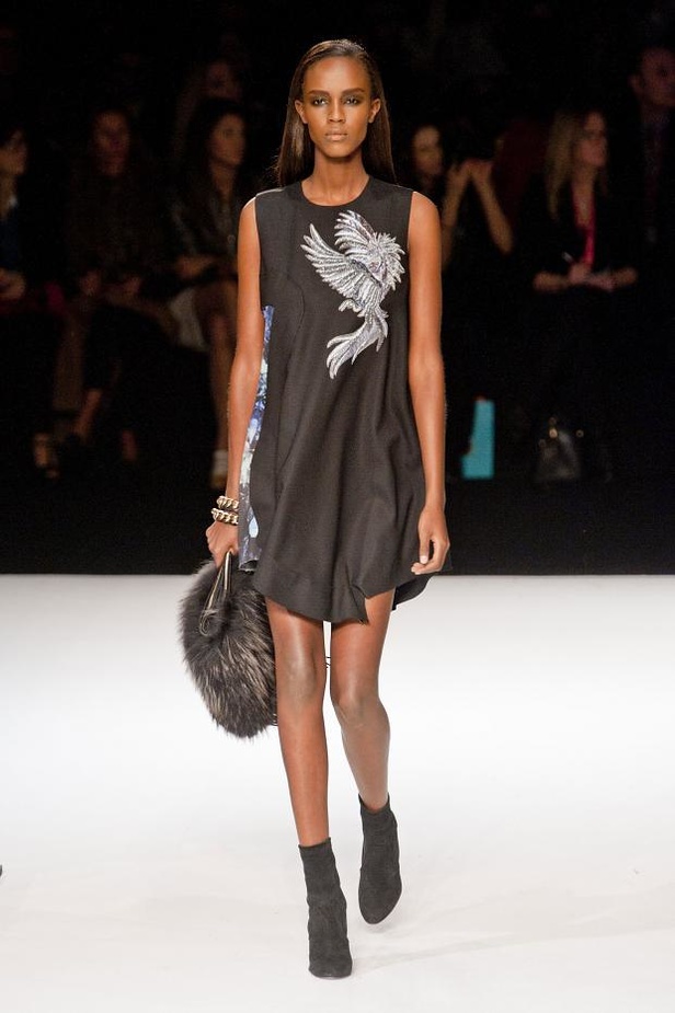 Just Cavalli: إنفجار الألوان والحياة النابضة