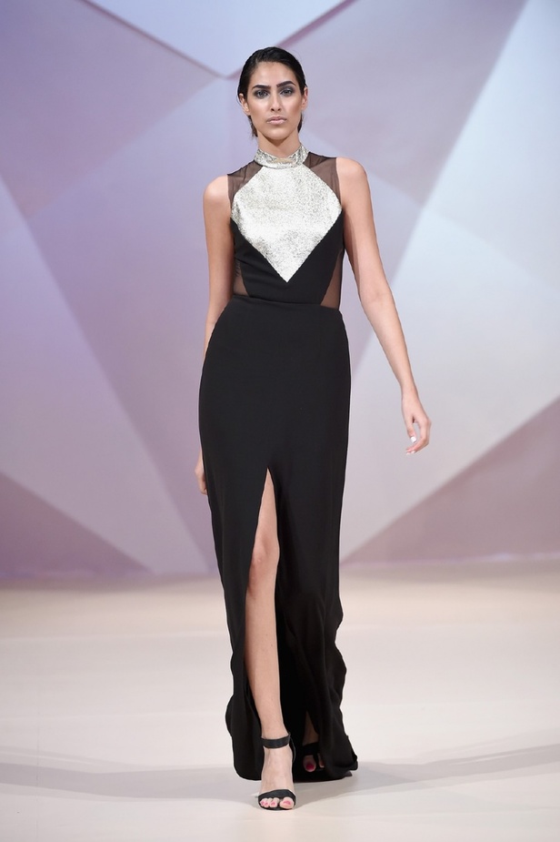 مجموعة Hasan Hejazi