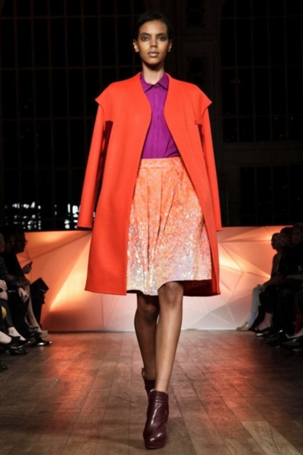 خريف شتاء 2013 - Matthew Williamson