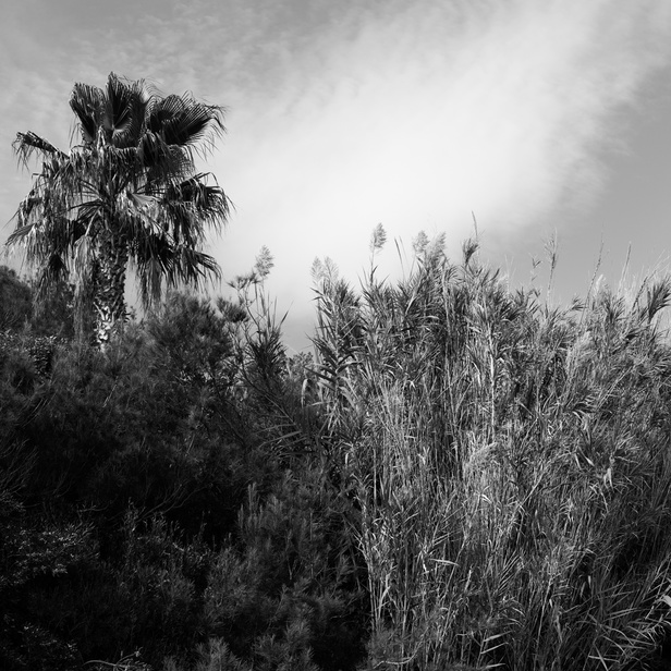 La collection de Saint-Tropez من دار CELINE لربيع وصيف 2023