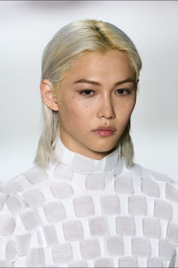 مجموعة Louis Vuitton 