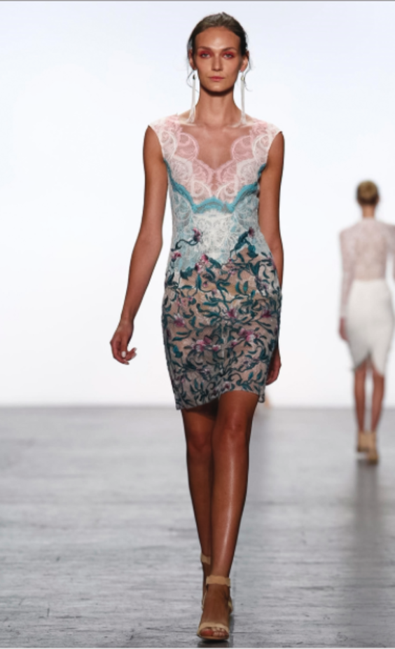 مجموعة Tadashi Shoji لربيع وصيف ٢٠١٧ !