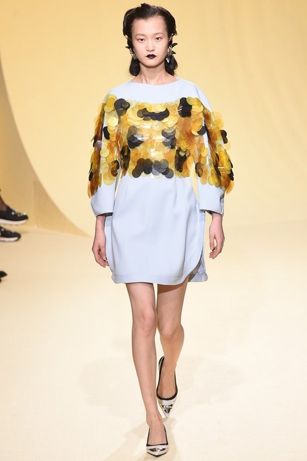 مجموعة مارني لخريف وشتاء 2016-2017