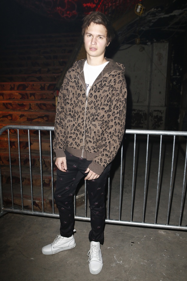 مجموعة الكسندر وانغ لموسم ربيع وصيف 2018