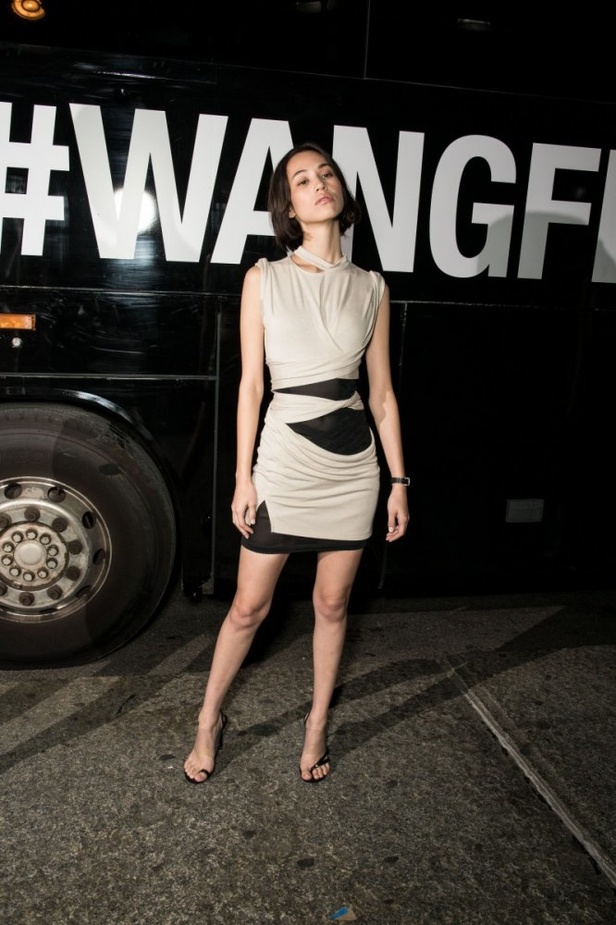 مجموعة الكسندر وانغ لموسم ربيع وصيف 2018