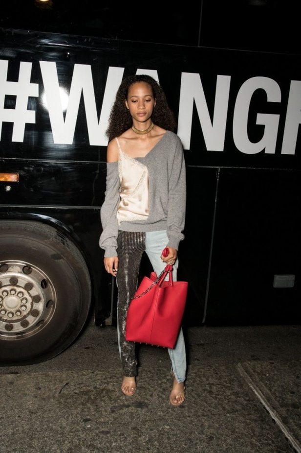 مجموعة الكسندر وانغ لموسم ربيع وصيف 2018