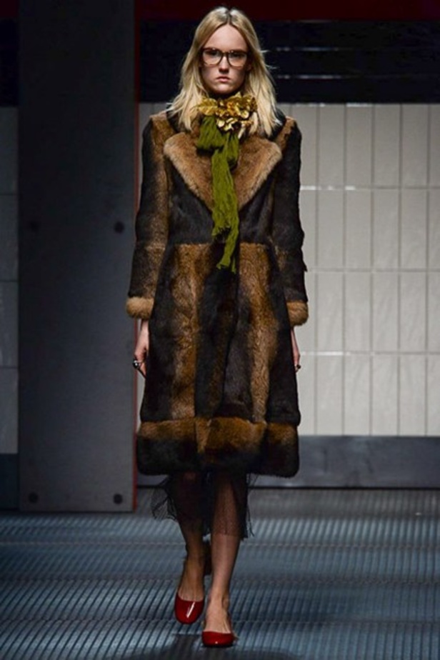 مجموعة Gucci.. بنظرة جديدة