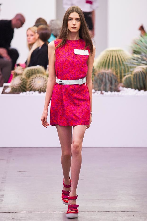 Iceberg .. دفء الألوان يذيب الجليد