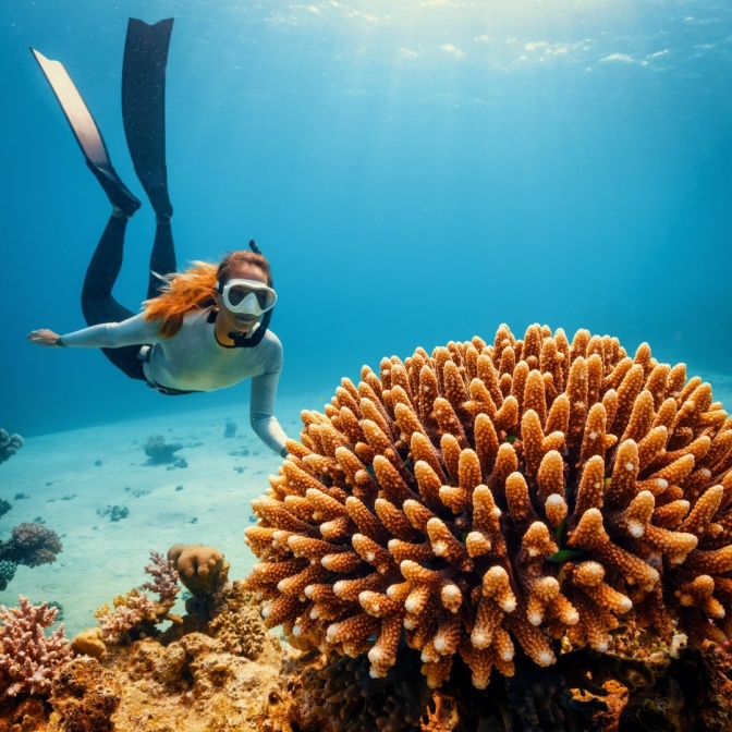 رياضات مائية شتوية الغوص وركوب الأمواج بالطائرات الورقية على طول البحر الأحمر