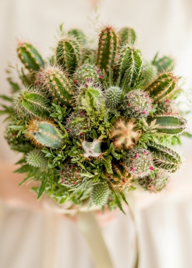 قوالب حلوى باللون الاخضر