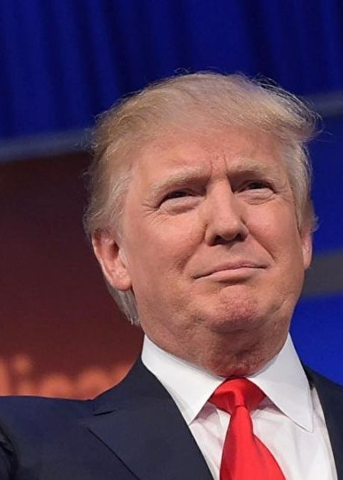 عرض لوحة رسمها الرئيس الأمريكي دونالد ترامب في مزاد علني