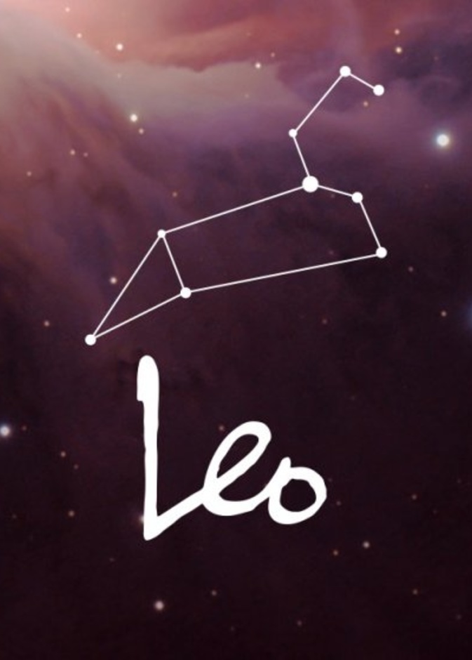 الحمل الجوزاء الميزان القوس والدلو من اكثر الابراج التي يتوافق معها الاسد.