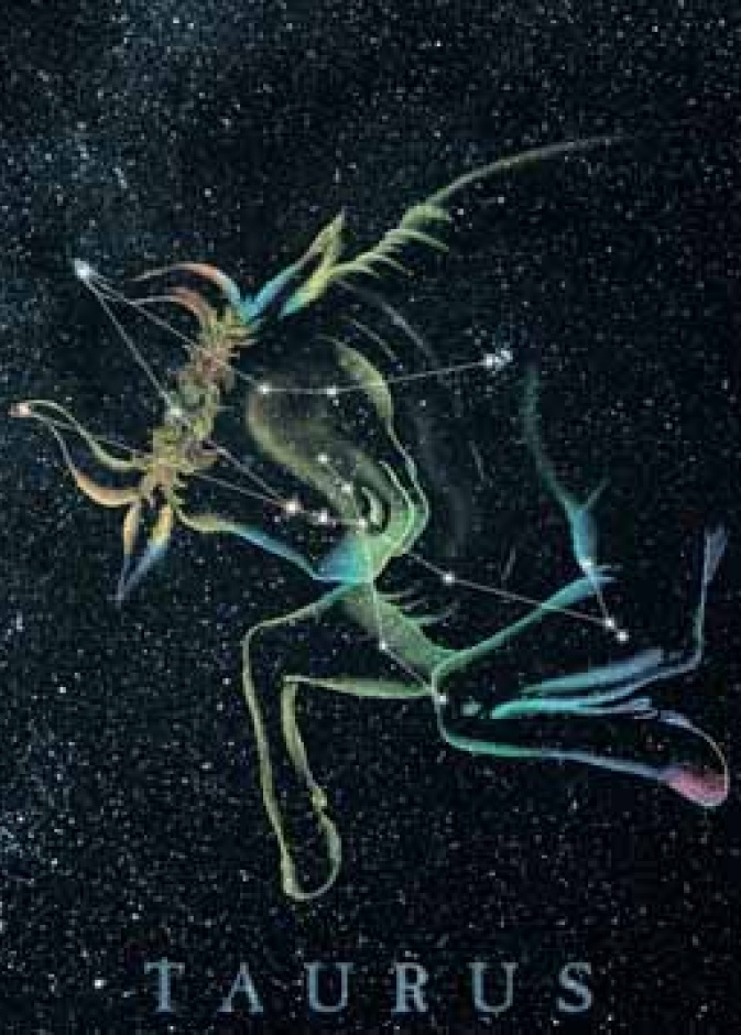 مولود الثور مميّز بقوة شخصيته وصبره لكنه يمتلك بعض العيوب