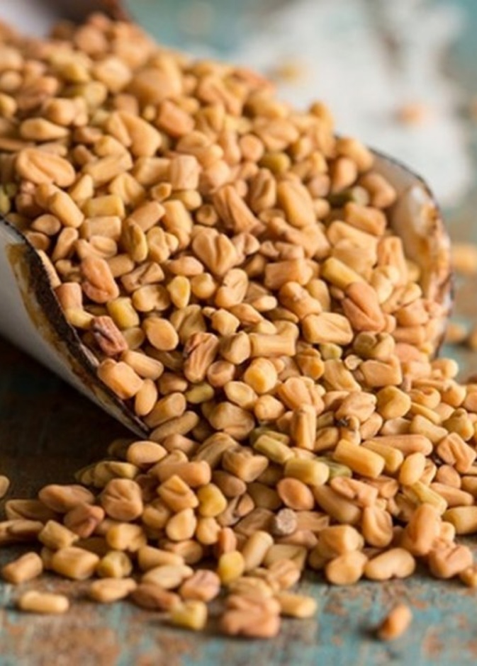 فوائد الحلبة للرجيم رائعه