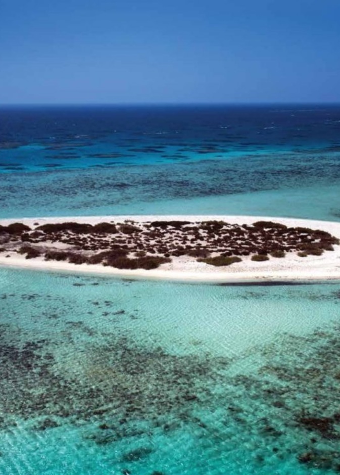 تجربة فريدة في أعماق البحر.