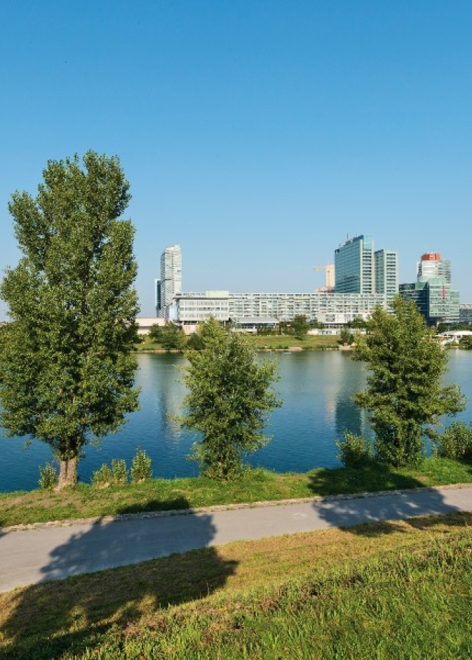 من جزيرة نوتردام في كندا