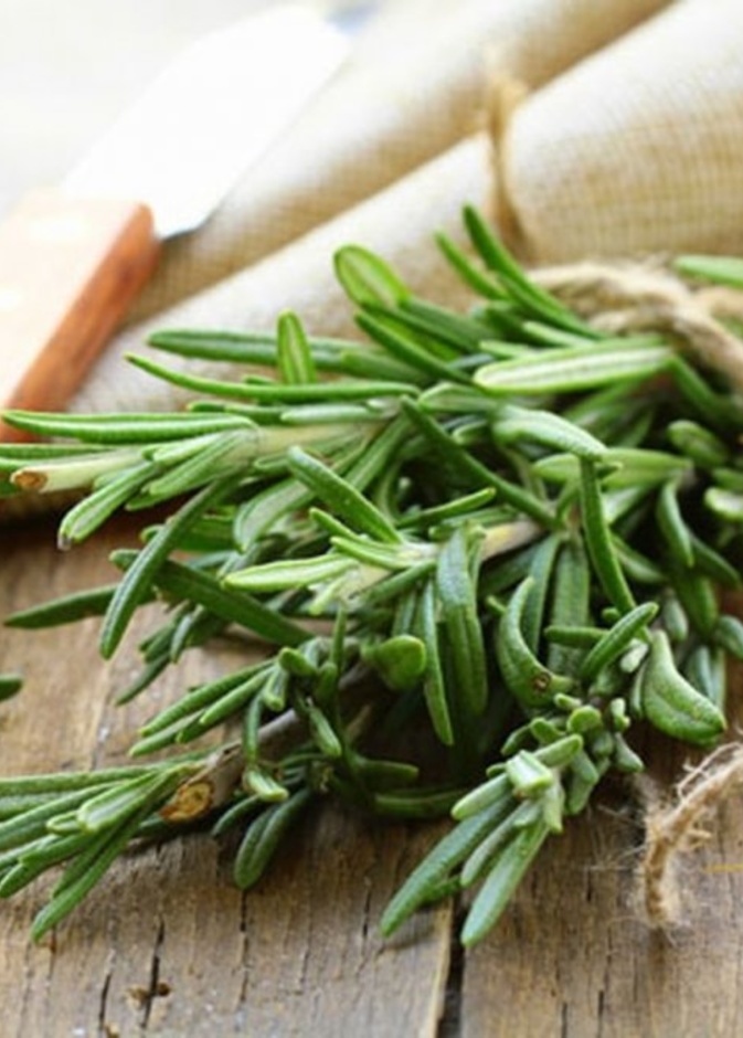 الروزماري يحمي من السرطان