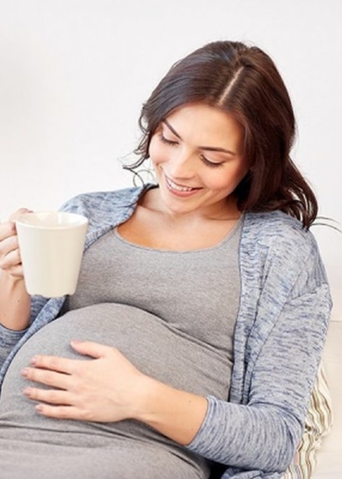 فوائد السدر المطحون للحامل 