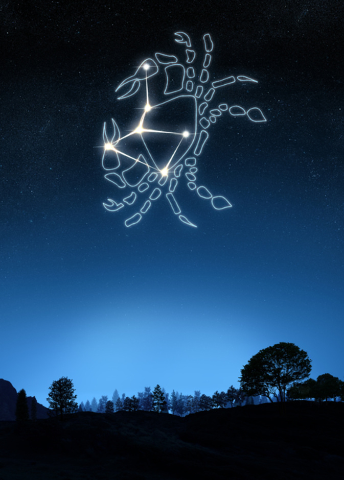 غيرة الرجل الاسد هي احد اكثر سماته خطورة